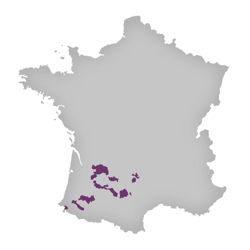 Region: Gascony