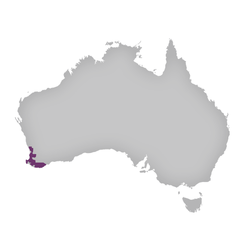 Region: Western Australia
