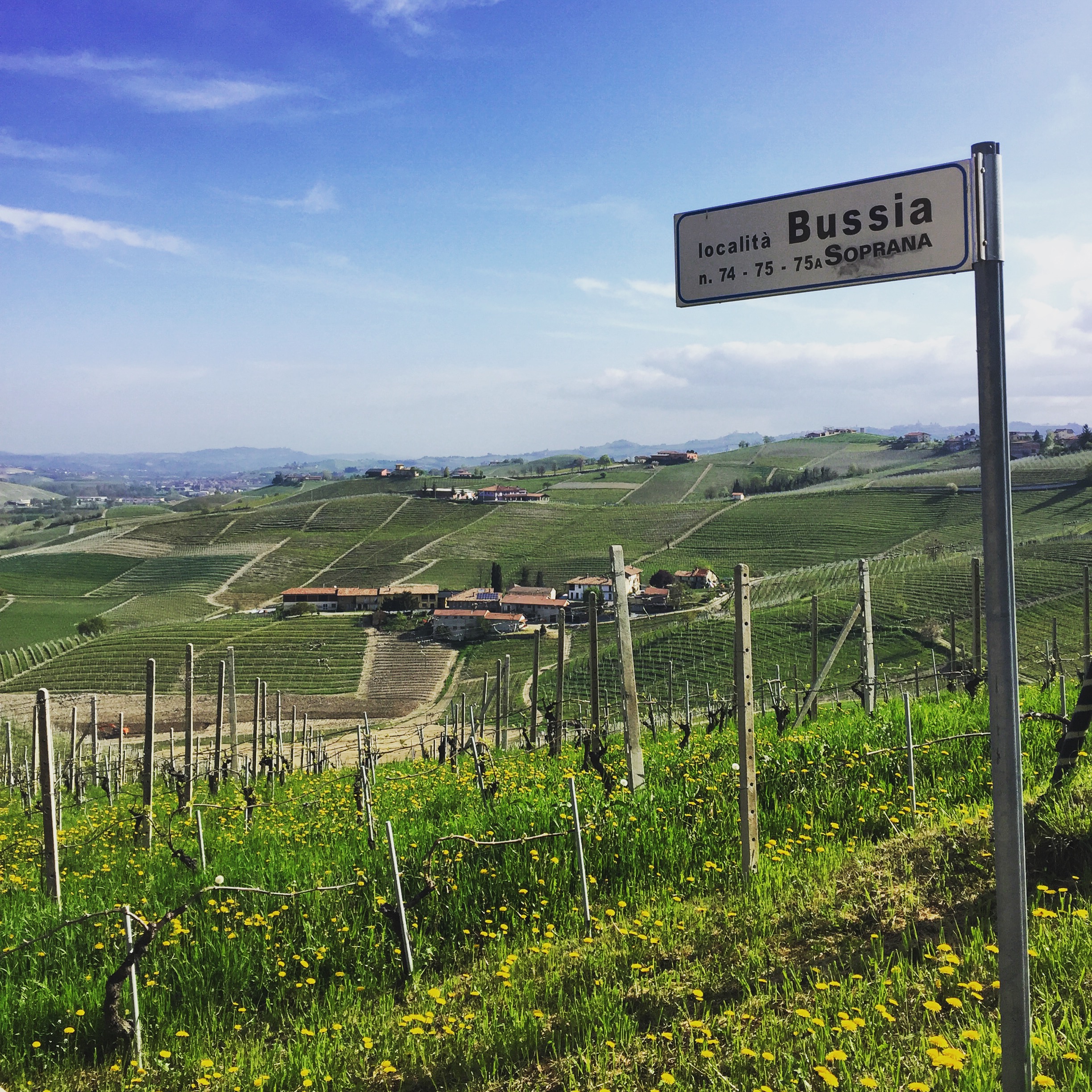bussia