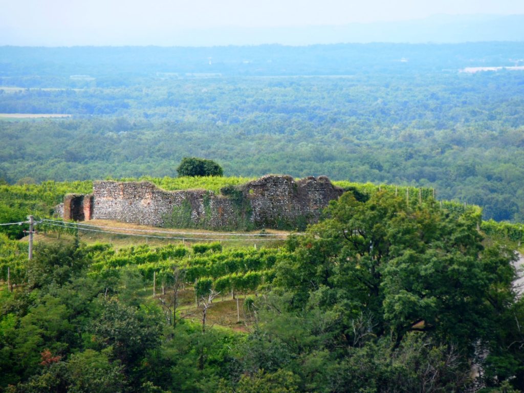 antoniolo-vigneto-castelle