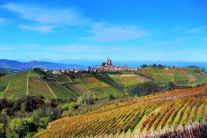 2013 Barolo: A Vintage to Remember 3