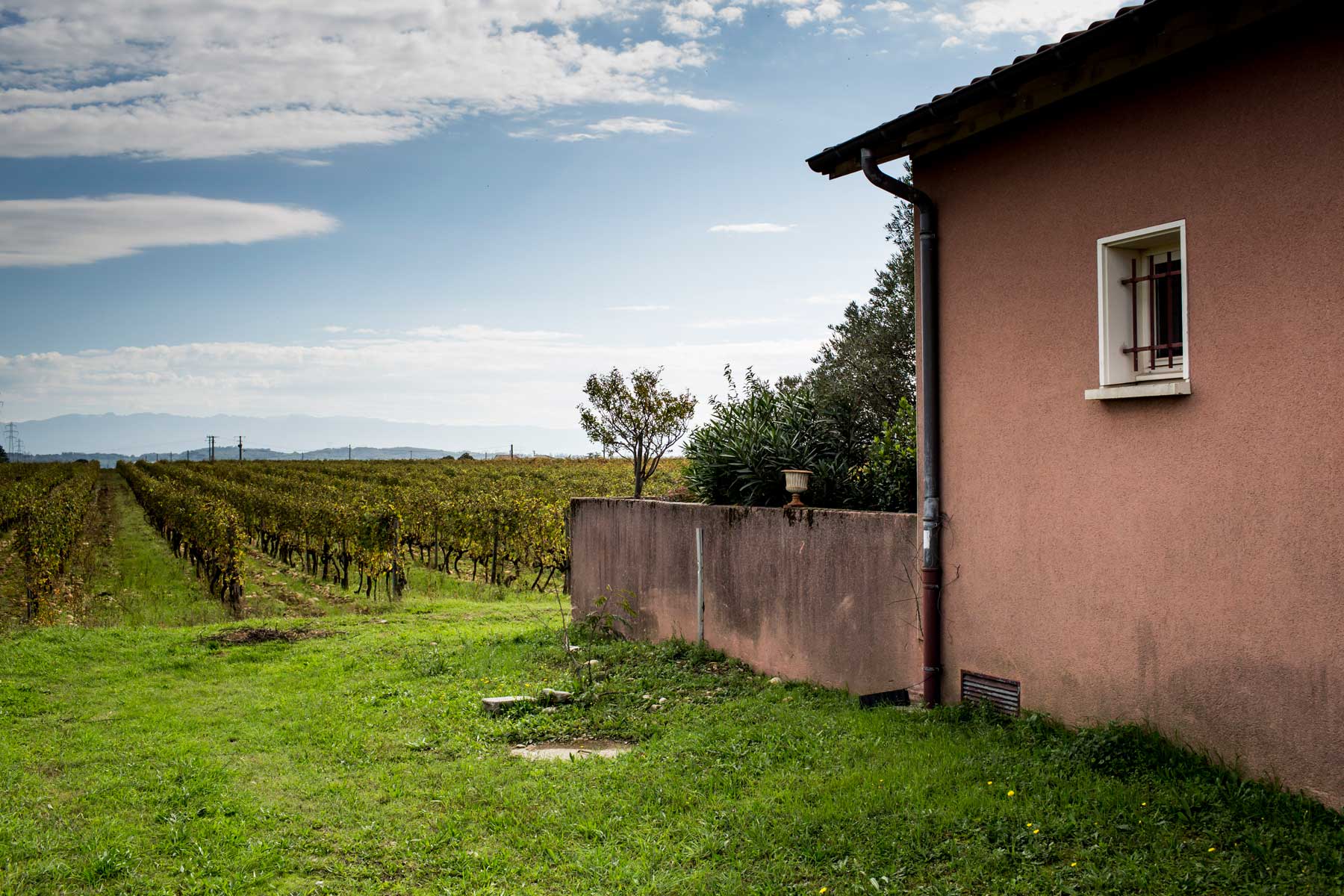 The Legacy of Graillot: Maxime Graillot & Domaine Equis