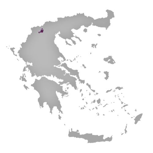 Region: Amyndeon