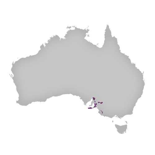 Region: McLaren Vale