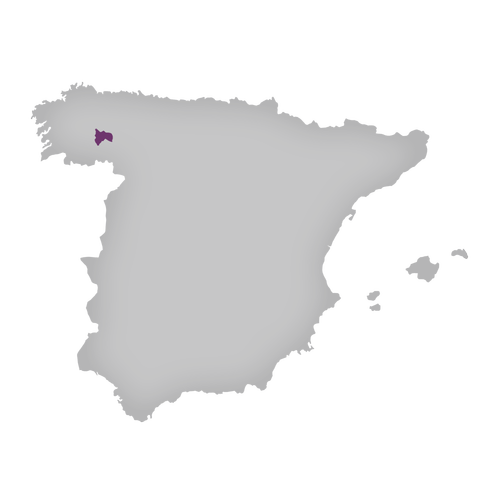 Region: Bierzo