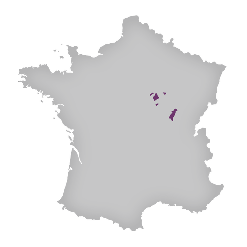 Region: Burgundy