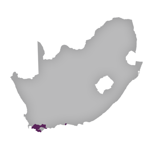 Region: Cape South Coast