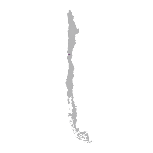 Region: Elqui Valley