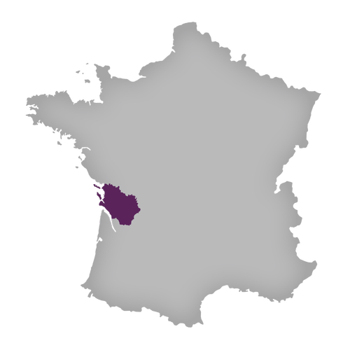 Region: Cognac