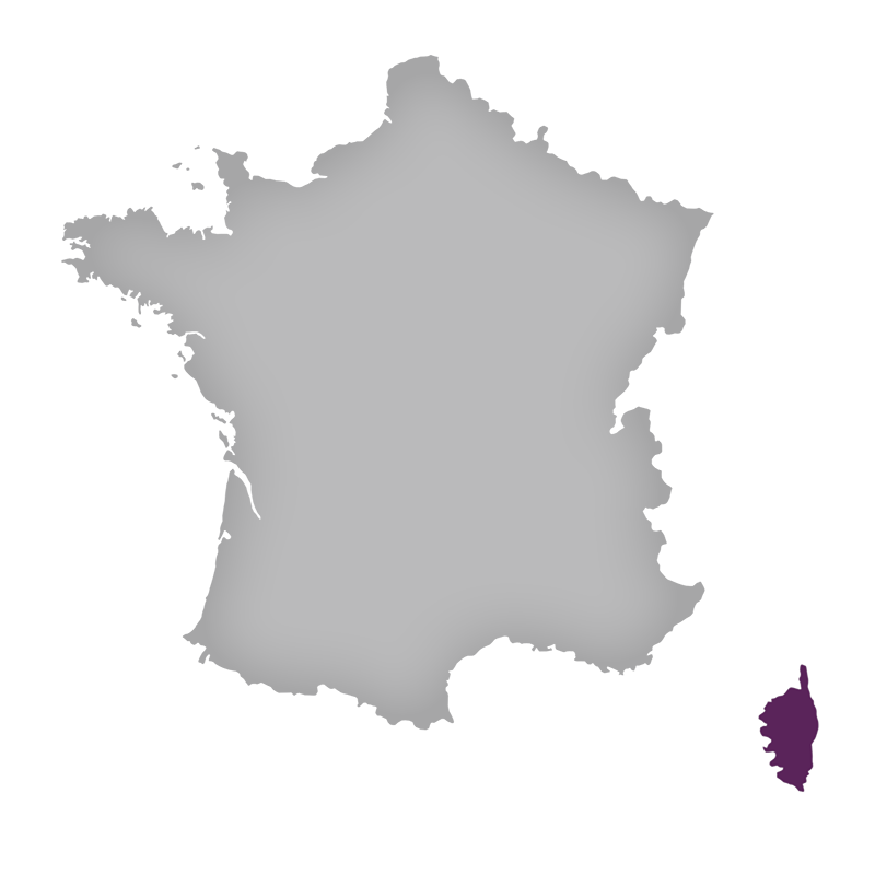 Region: Corsica