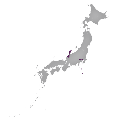 Region: Ishikawa