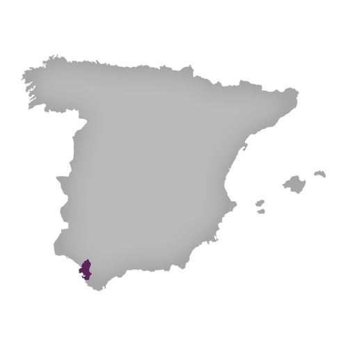 Region: Jerez / Xérès / Sherry