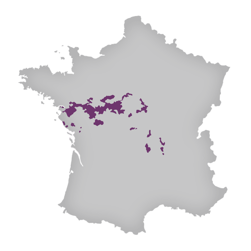 Region: Loire