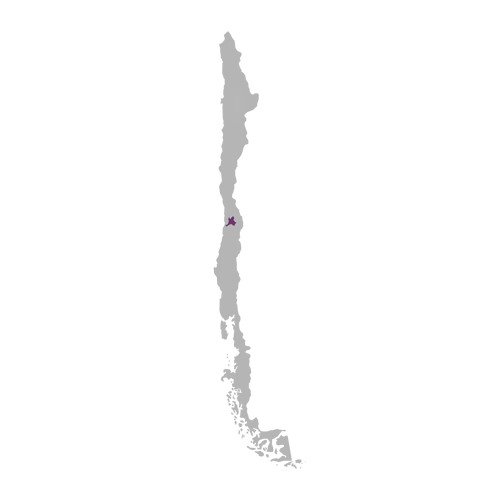 Region: Maipo