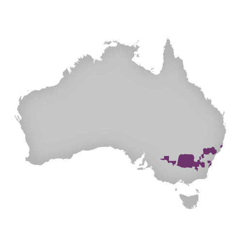 Region: New South Wales