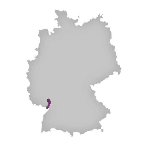 Region: Pfalz