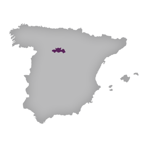 Region: Ribera del Duero (sin D.O.)