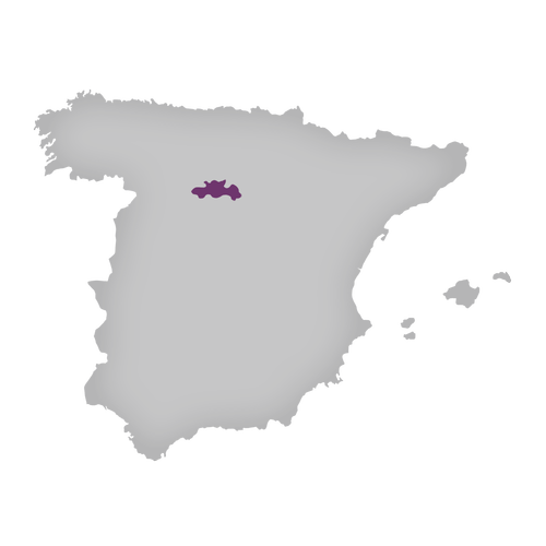 Region: Ribera del Duero