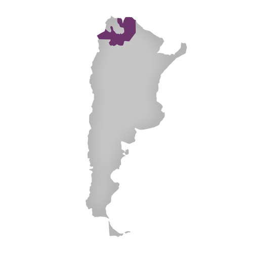 Region: Salta