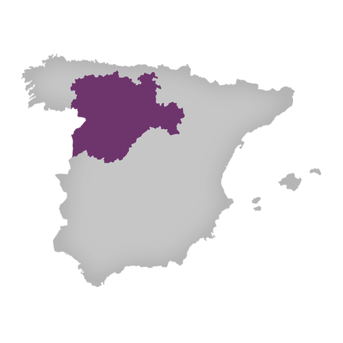 Region: Castilla Y Leon