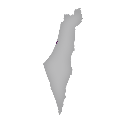 Region: Tel Aviv