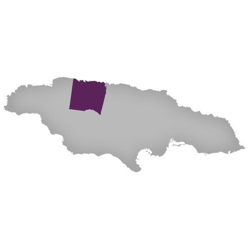 Region: Trelawny Parish