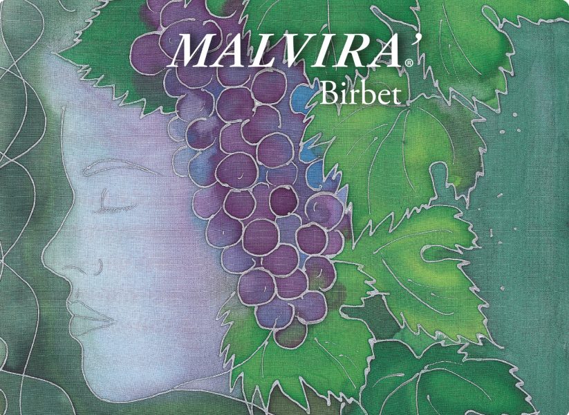 Brachetto Birbet, Malvira