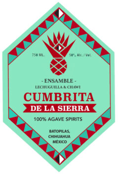 Destilado de Agave, Ensamble, Lechuguilla/Chawi