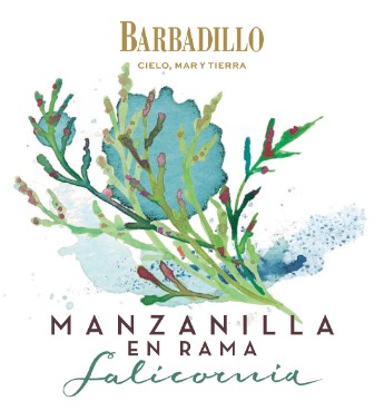 Manzanilla En Rama Salicornia ORGANIC