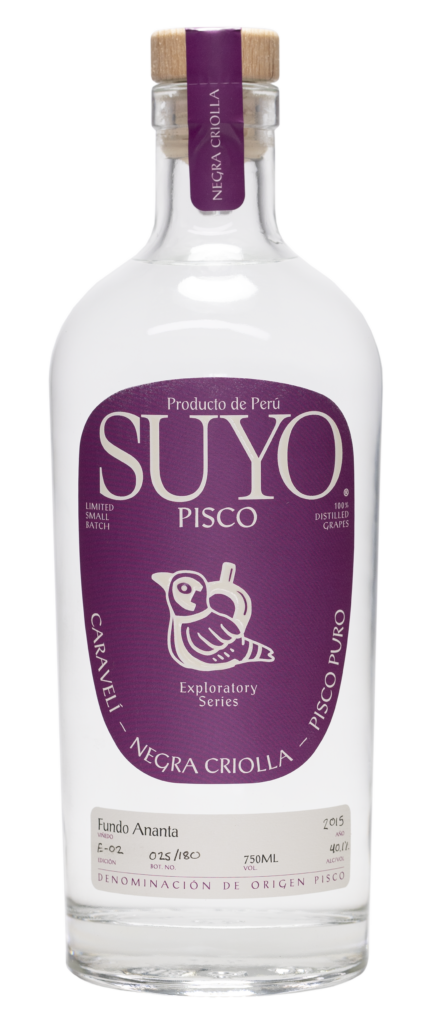 pisco-exploratory-series-negra