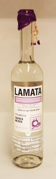 Sotol Cucharilla  Oaxaca