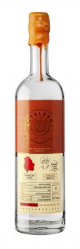 Sotol, 'Lalo y Nando', Sotoleros