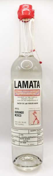 Sotol Marcelo Flores Durango Lamata