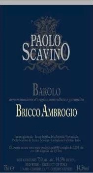 Barolo Bricco Ambrogio Paolo Scavino