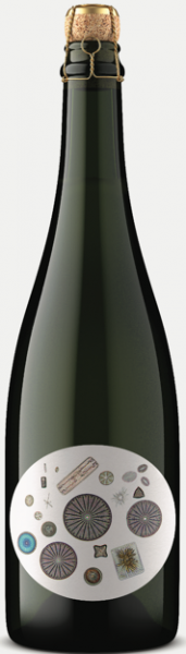 Blanc de Blancs Sta Rita Hills Sandhi