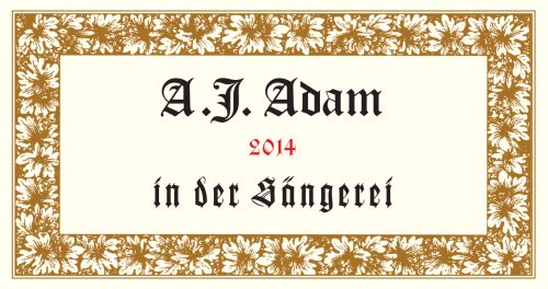 Dhroner Hofeberg 'In der Sengerei' Riesling Feinherb