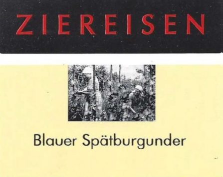 Blauer Spätburgunder