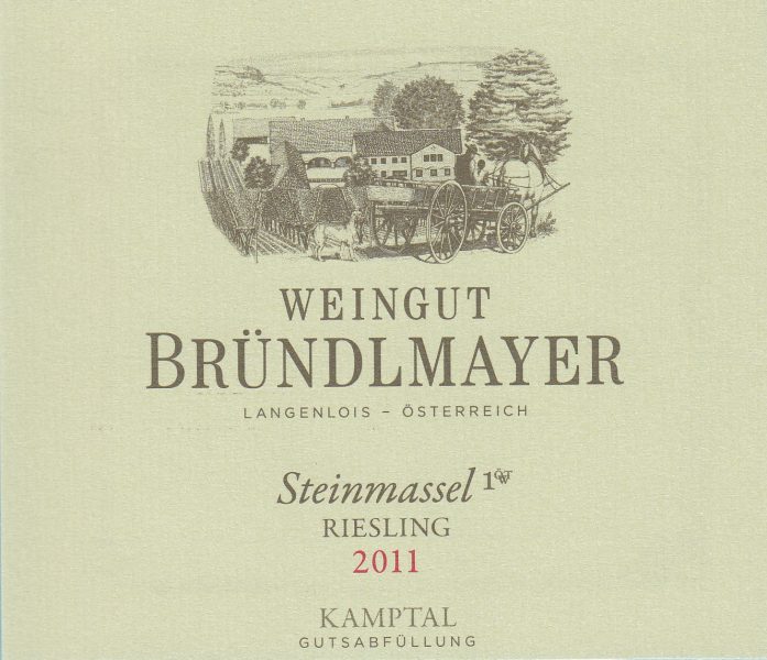 Brndlmayer Ried Langenloiser Steinmassl 1 TW Kamptal DAC Riesling