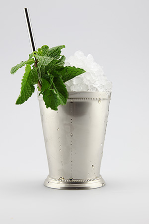 Rum Julep