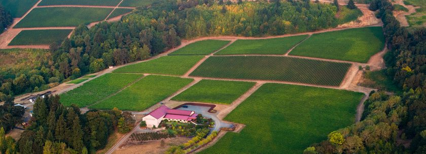 Cristom Vineyards