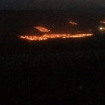 Candles burning in vineyards of Puligny-Montrachet