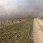 Candles burning in Sancerre