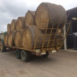 Bales of hay arriving in Rully