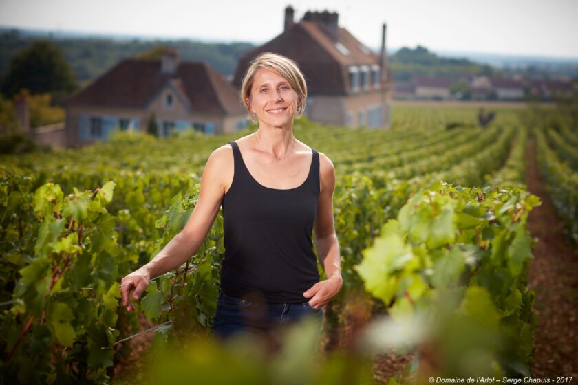 Domaine de L8217Arlot