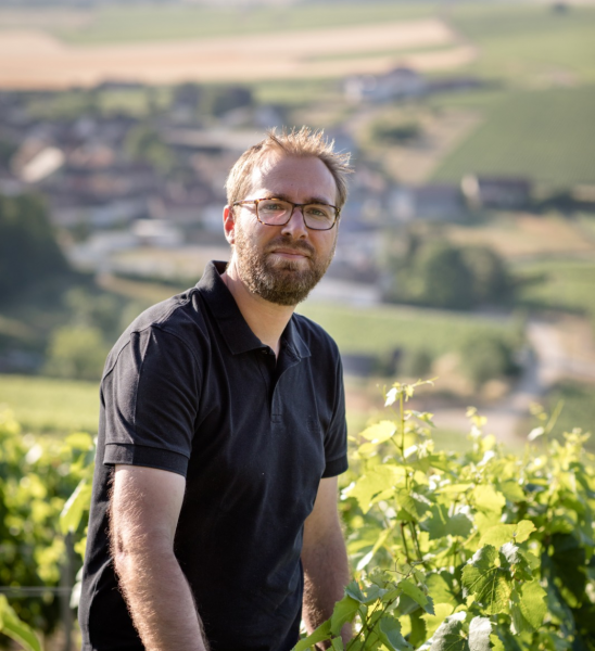 Domaine Vincent Dampt - Skurnik Wines & Spirits