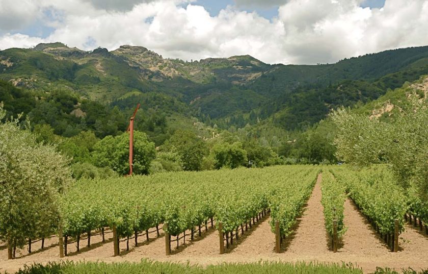 Eisele Vineyard