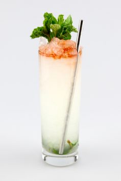 Queens Park Swizzle