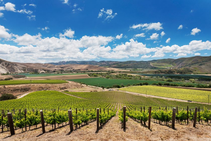 Domaine de la Cte