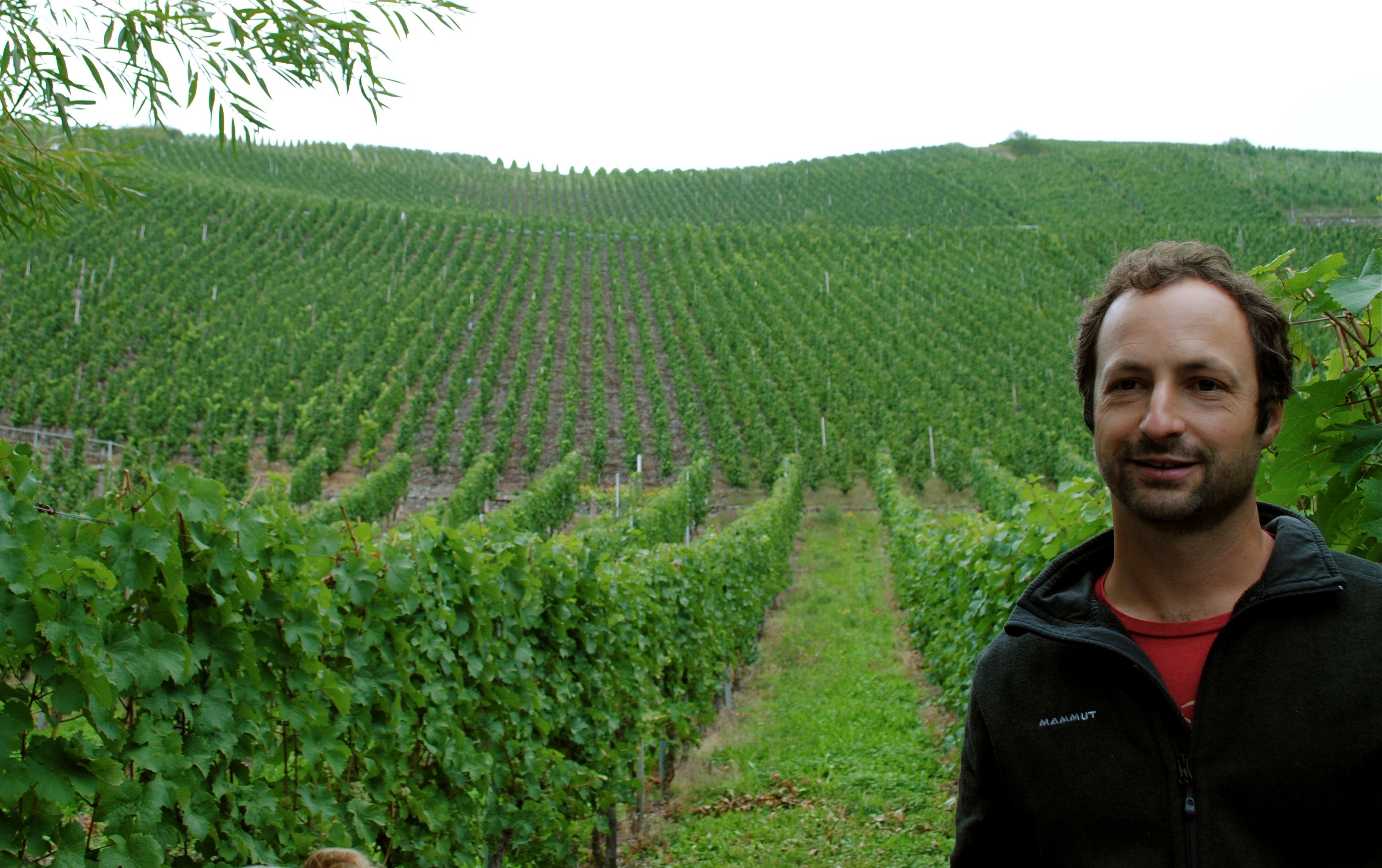 A.J. Adam: Delicate & Mineral Mosel Classics