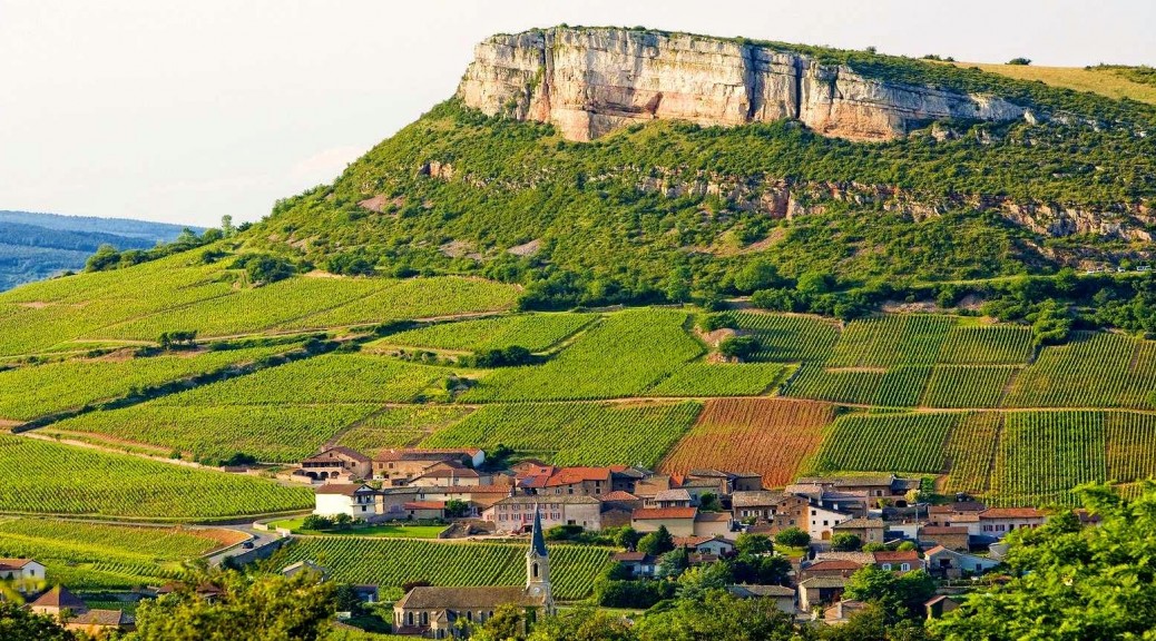 Domaine Daniel et Julien Barraud: The Master of Vergisson